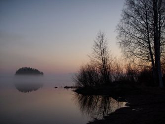 Blandade bilder 2008